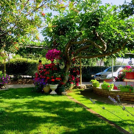 Beach Apartments Roza - The Garden Apartment 비오그라드나모루 외부 사진