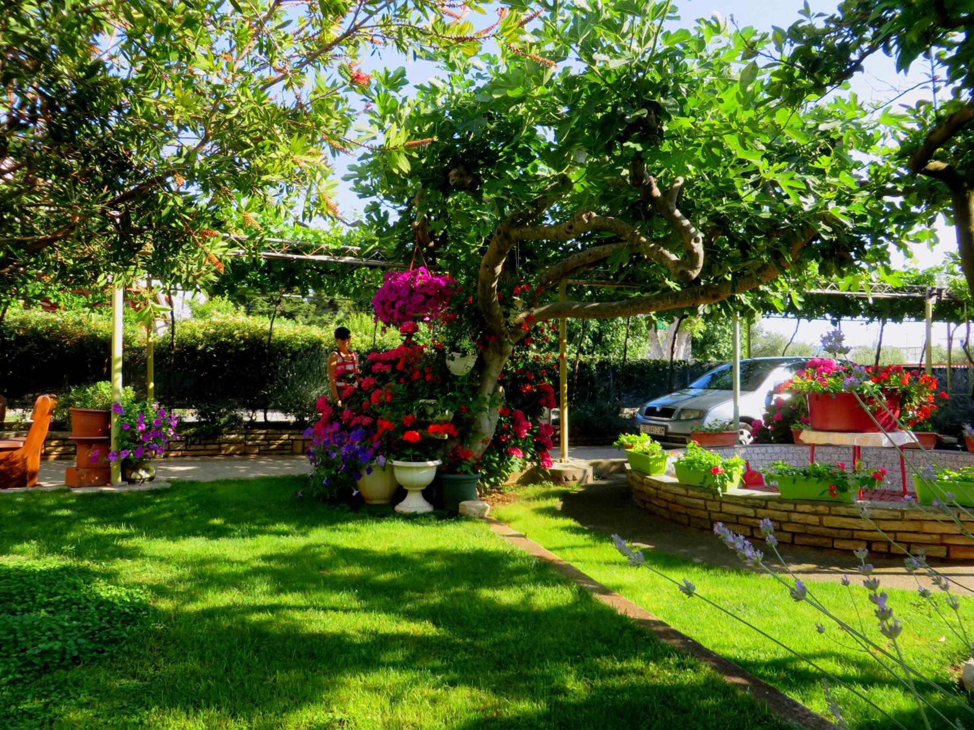 Beach Apartments Roza - The Garden Apartment 비오그라드나모루 외부 사진