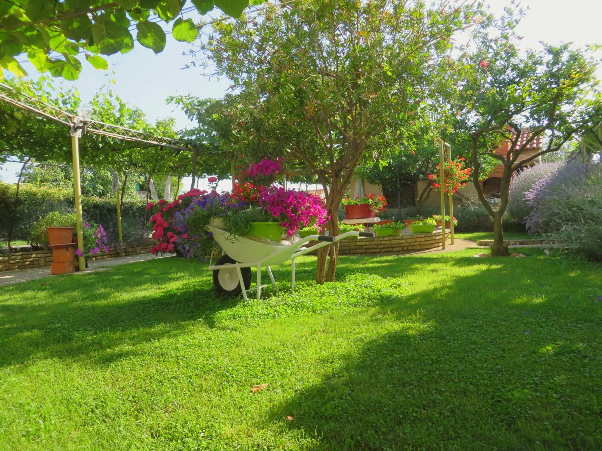 Beach Apartments Roza - The Garden Apartment 비오그라드나모루 외부 사진